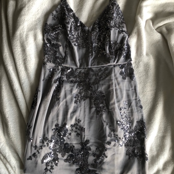 SALE Gorgeous Grey & Silver Luxmi Dress - Picture 4 of 6